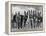 Group of Mrs Leslie Thornton's Celebrated "Southdown" Alsatians-Thomas Fall-Framed Premier Image Canvas