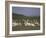 Group of Pelicans Resting on the Ground at Dusk, Galilee Panhandle, Middle East-Eitan Simanor-Framed Photographic Print