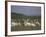 Group of Pelicans Resting on the Ground at Dusk, Galilee Panhandle, Middle East-Eitan Simanor-Framed Photographic Print