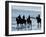 Group of People on Horseback at the Beach-null-Framed Photographic Print