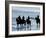 Group of People on Horseback at the Beach-null-Framed Photographic Print