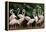 Group of Pink Flamingos-panda3800-Framed Premier Image Canvas