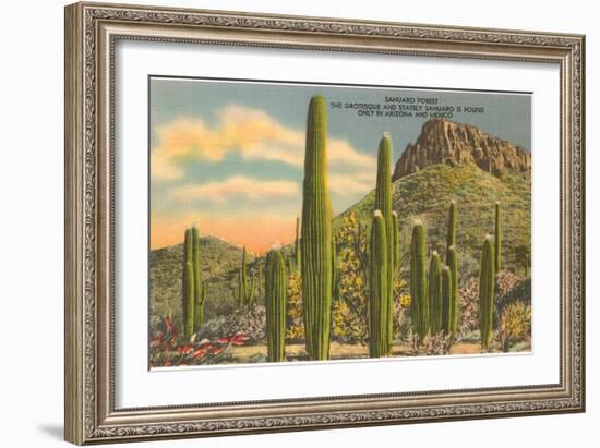 Group of Saguaro Cacti-null-Framed Art Print