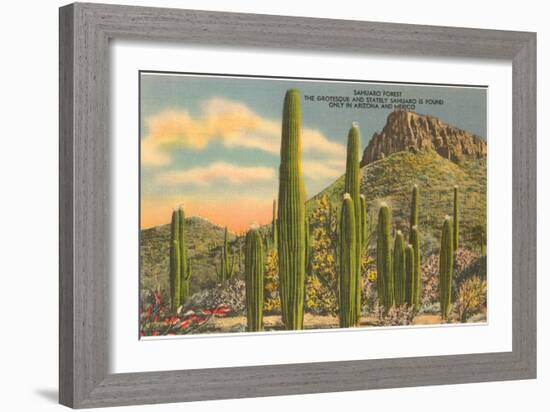 Group of Saguaro Cacti-null-Framed Art Print