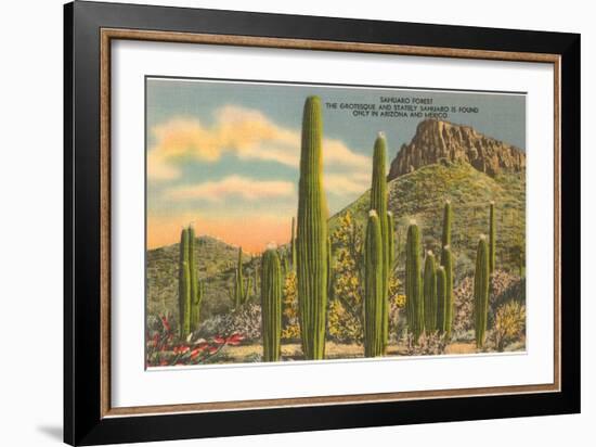 Group of Saguaro Cacti-null-Framed Art Print