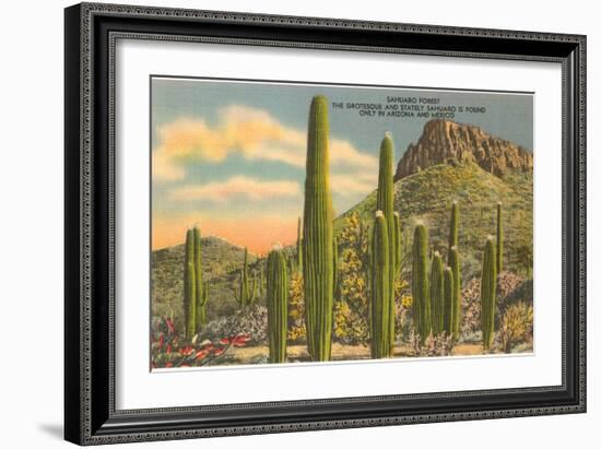 Group of Saguaro Cacti-null-Framed Art Print