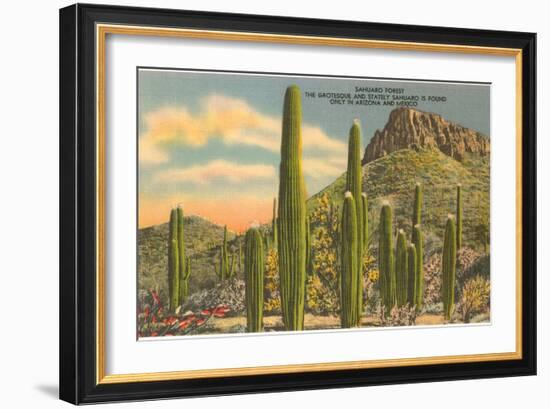 Group of Saguaro Cacti-null-Framed Art Print