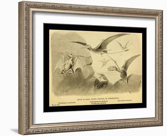 Group Of Small Flying Dragons, Or Pterodactyls-Joseph Smit-Framed Art Print