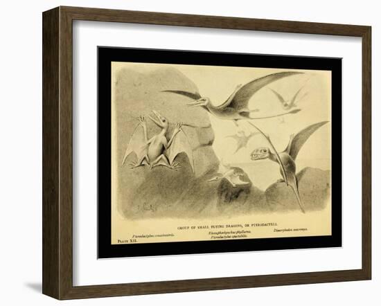 Group Of Small Flying Dragons, Or Pterodactyls-Joseph Smit-Framed Art Print