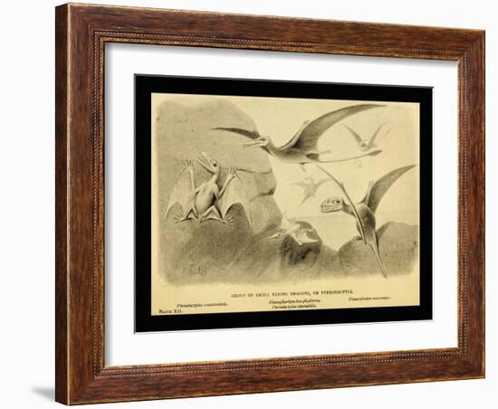 Group Of Small Flying Dragons, Or Pterodactyls-Joseph Smit-Framed Art Print