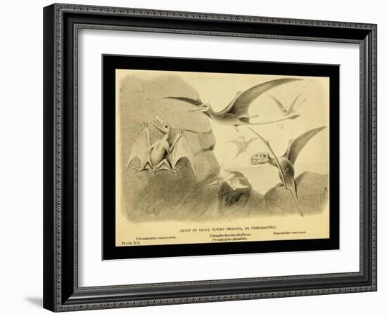 Group Of Small Flying Dragons, Or Pterodactyls-Joseph Smit-Framed Art Print