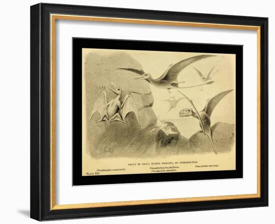 Group Of Small Flying Dragons, Or Pterodactyls-Joseph Smit-Framed Art Print