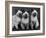 Group of Three Sweet Siamese Kittens Sitting Together-Thomas Fall-Framed Photographic Print