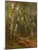 Group of Trees, 1855-77-Asher Brown Durand-Mounted Giclee Print