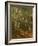 Group of Trees, 1855-77-Asher Brown Durand-Framed Giclee Print