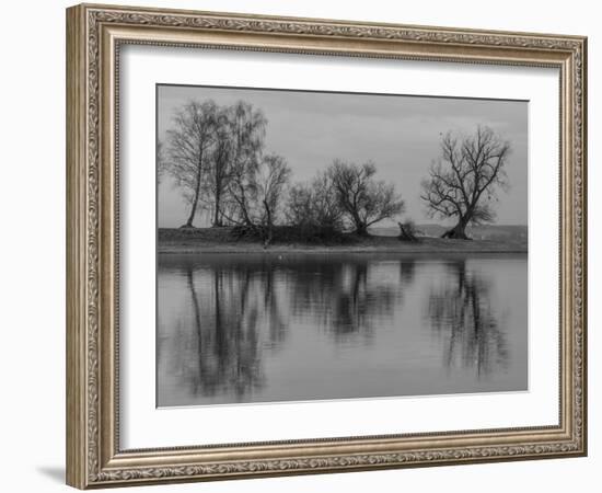 Group of Trees Is Reflected in the Water-Jurgen Ulmer-Framed Photographic Print