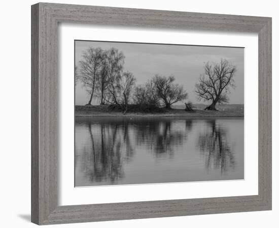 Group of Trees Is Reflected in the Water-Jurgen Ulmer-Framed Photographic Print