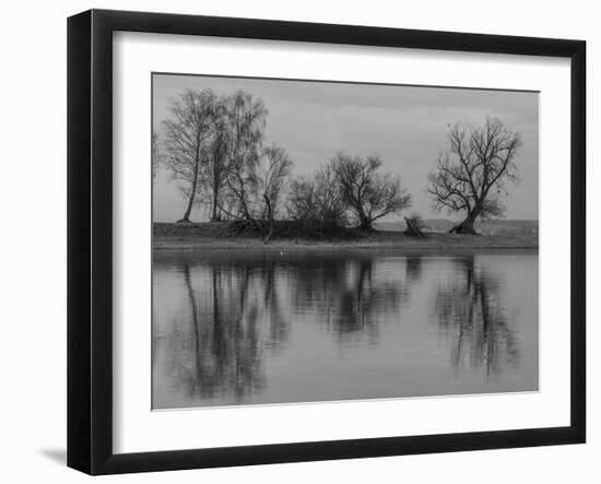 Group of Trees Is Reflected in the Water-Jurgen Ulmer-Framed Photographic Print