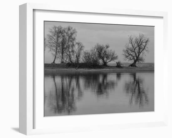 Group of Trees Is Reflected in the Water-Jurgen Ulmer-Framed Photographic Print