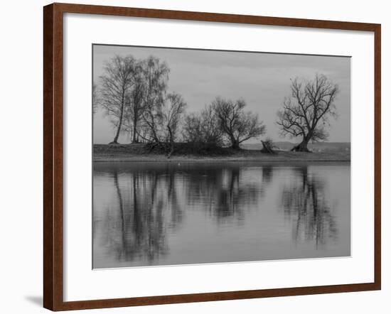 Group of Trees Is Reflected in the Water-Jurgen Ulmer-Framed Photographic Print