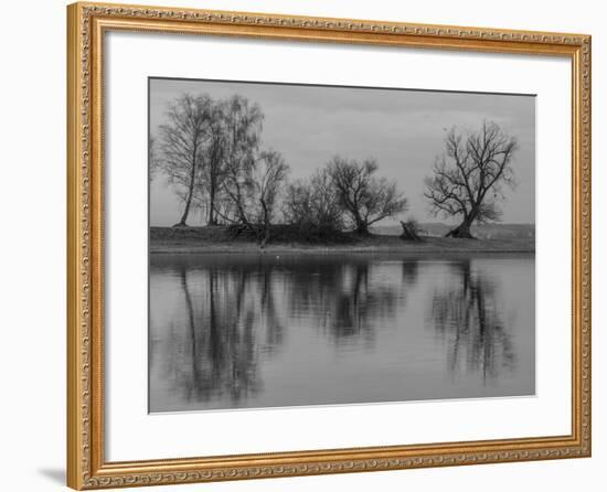 Group of Trees Is Reflected in the Water-Jurgen Ulmer-Framed Photographic Print