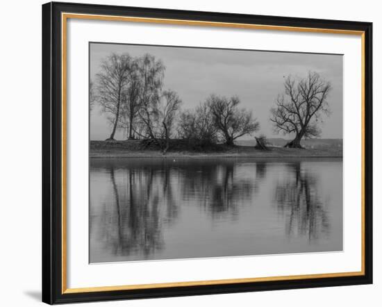 Group of Trees Is Reflected in the Water-Jurgen Ulmer-Framed Photographic Print