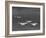 Group of Us Navy Bombers Flying in Formation-Carl Mydans-Framed Photographic Print