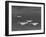Group of Us Navy Bombers Flying in Formation-Carl Mydans-Framed Photographic Print