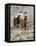 Group of Wild Horses, Cantering Across Sagebrush-Steppe, Adobe Town, Wyoming, USA-Carol Walker-Framed Premier Image Canvas