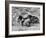 Group of Wild Horses, Cantering Across Sagebrush-Steppe, Adobe Town, Wyoming-Carol Walker-Framed Photographic Print