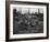 Group of Women with Rifles, 1930-Marvin Boland-Framed Giclee Print