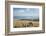 Group of young people enjoying a picnic on the Port Hills, Christchurch, Canterbury, South Island, -Ruth Tomlinson-Framed Photographic Print