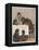 "Group of Young Primates", Young Monkeys and Children-E. Yarrow-Framed Stretched Canvas