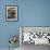 Group Photo of Clowns' Shoes at a Week Long Latin American Clown Convention in Mexico City-null-Framed Photographic Print displayed on a wall