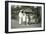 Group Portrait of Europeans and Locals, Sierra Leone, 20th Century-null-Framed Giclee Print