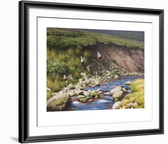 Grouse by a Moorland Stream-Rodger McPhail-Framed Limited Edition