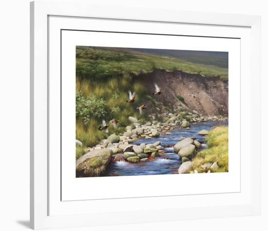 Grouse by a Moorland Stream-Rodger McPhail-Framed Limited Edition