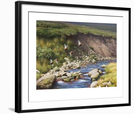 Grouse by a Moorland Stream-Rodger McPhail-Framed Limited Edition