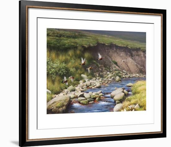 Grouse by a Moorland Stream-Rodger McPhail-Framed Limited Edition