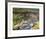 Grouse by a Moorland Stream-Rodger McPhail-Framed Limited Edition