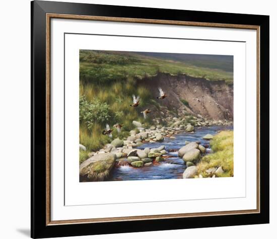 Grouse by a Moorland Stream-Rodger McPhail-Framed Limited Edition