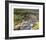 Grouse by a Moorland Stream-Rodger McPhail-Framed Limited Edition
