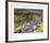 Grouse by a Moorland Stream-Rodger McPhail-Framed Limited Edition