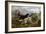 Grouse Hunting, 1880-Basil Bradley-Framed Giclee Print