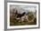 Grouse Hunting, 1880-Basil Bradley-Framed Giclee Print