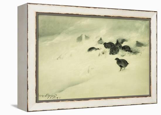 Grouse in a Snow Storm, 1890-Bruno Andreas Liljefors-Framed Premier Image Canvas