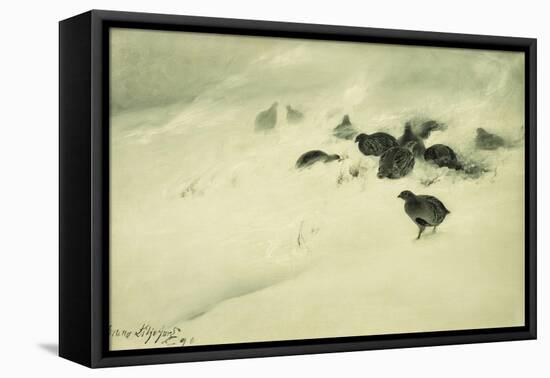 Grouse in a Snow Storm, 1890-Bruno Andreas Liljefors-Framed Premier Image Canvas