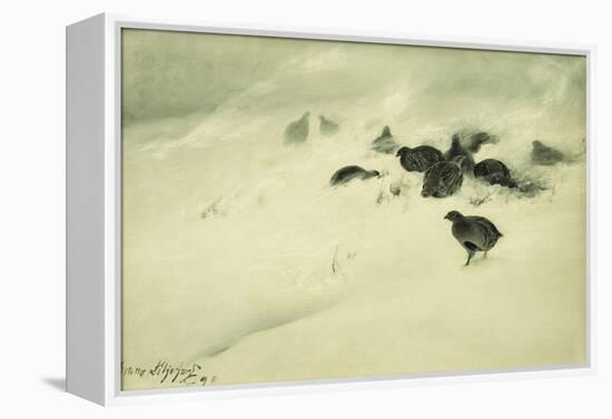 Grouse in a Snow Storm, 1890-Bruno Andreas Liljefors-Framed Premier Image Canvas