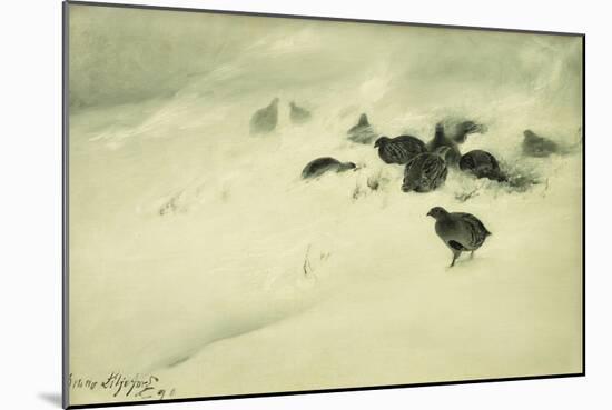 Grouse in a Snow Storm, 1890-Bruno Andreas Liljefors-Mounted Giclee Print