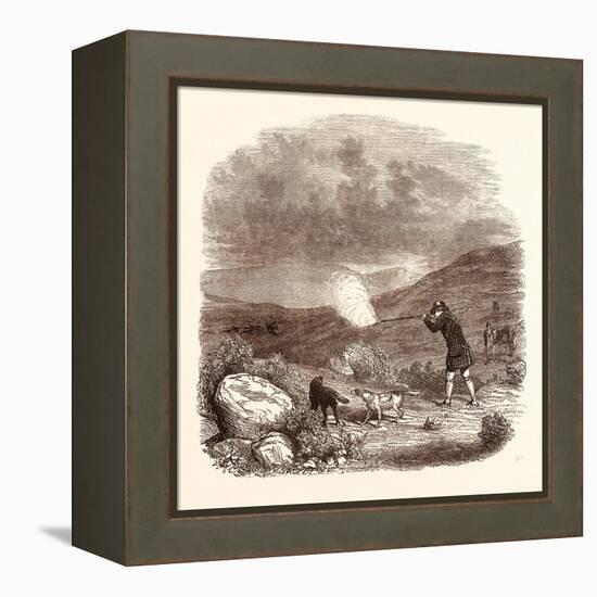 Grouse Shooting in August. Shotgun-null-Framed Premier Image Canvas